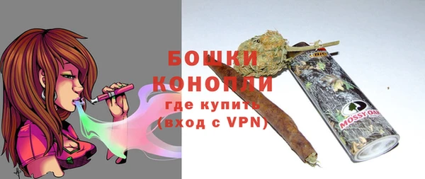 прущий лед Вяземский